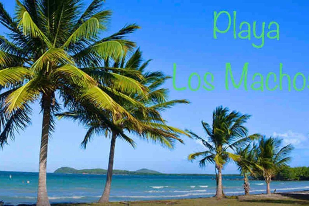 Ocean & Mountains View, Marina, Ferry, Vista Mar, Costa Esmeralda Ceiba Bagian luar foto