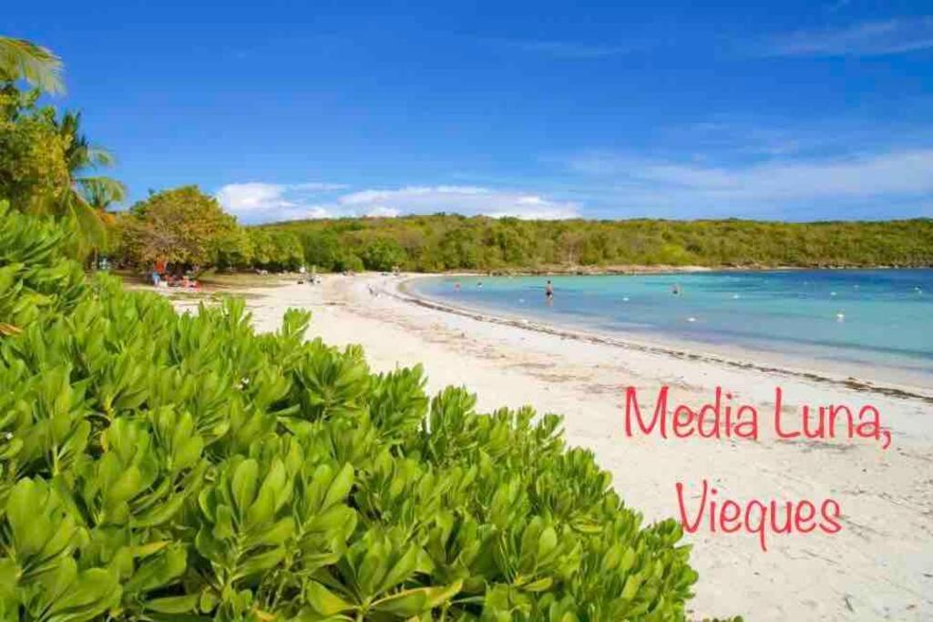 Ocean & Mountains View, Marina, Ferry, Vista Mar, Costa Esmeralda Ceiba Bagian luar foto